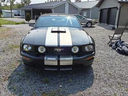 Begagnad 2007 Ford Mustang Cab | 78 000 kr