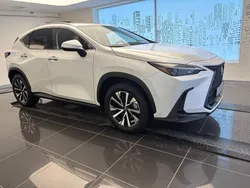 Vit Begagnad 2024 Lexus NX450h+ Business Edition SUV | 579 900 kr (Marknadspris)