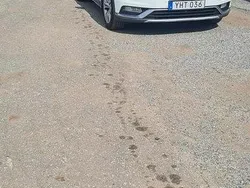 Vit Begagnad 2017 VW Passat Alltrack Kombi | 89 000 kr