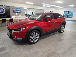 Röd Ny 2025 Mazda CX-30 Takumi-Line SUV | 405 800 kr (Dyr)