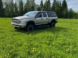 Brun Begagnad 2004 Dodge Ram Pickup | 155 000 kr (Dyr)