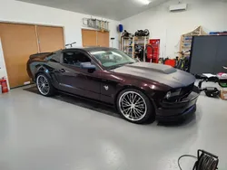 Begagnad 2009 Ford Mustang GT Sportkupé | 239 000 kr (Dyr)