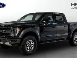 Svart (black) Begagnad 2023 Ford F-150 Raptor Pickup | 1 243 750 kr (Lite dyr)