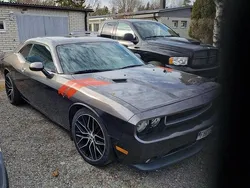 Grå Begagnad 2014 Dodge Challenger Sportkupé | 210 000 kr