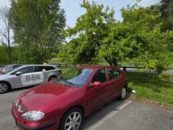 Röd Begagnad 2002 Renault Mégane II Privilege Halvkombi | 15 000 kr (Bra pris)
