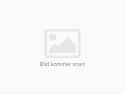 Vit Begagnad 2019 Toyota RAV4 Hybrid SUV | 319 000 kr (Marknadspris)