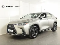 Ljusgrå Ny 2024 Lexus NX350h Business Edition SUV | 499 900 kr (Lite dyr)