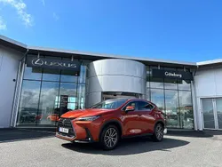 Orange Begagnad 2023 Lexus NX350h Executive Line SUV | 529 000 kr (Lite dyr)