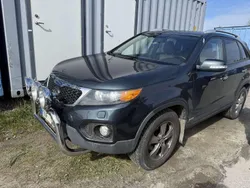 Blå Begagnad 2010 Kia Sorento EX SUV | 45 000 kr (Superpris)