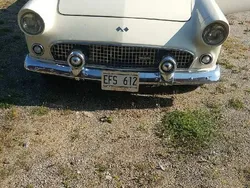 Vit Begagnad 1955 Ford Thunderbird Cab | 395 000 kr
