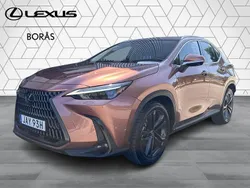 Brun Begagnad 2024 Lexus NX350h Executive Line SUV | 549 900 kr (Superpris)