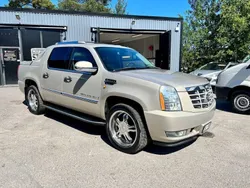 Brun Begagnad 2007 Cadillac Escalade SUV | 248 750 kr