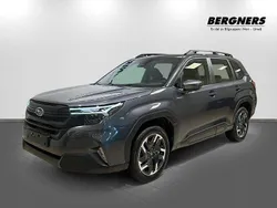 Grå Ny 2024 Subaru Forester SUV | 449 900 kr (Bra pris)