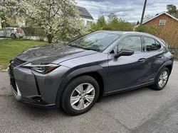 Grå Begagnad 2019 Lexus UX 250h SUV | 239 000 kr (Marknadspris)