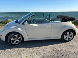 VW Beetle