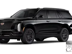 Ny 2025 Cadillac Escalade SUV | 1 949 000 kr