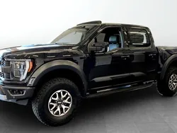 Svart (black) Begagnad 2023 Ford F-150 Raptor Pickup | 1 243 750 kr (Lite dyr)