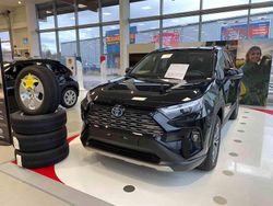 Svart Ny 2025 Toyota RAV4 Hybrid SUV | 484 800 kr