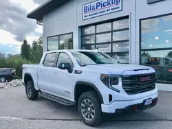 Ny 2024 GMC Sierra Van | 1 148 750 kr