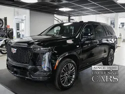 Ny 2025 Cadillac Escalade SUV | 1 949 000 kr
