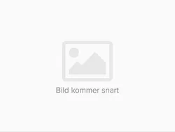 Vit Begagnad 2020 Toyota RAV4 Hybrid SUV | 329 000 kr (Marknadspris)