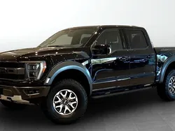 Svart Begagnad 2023 Ford F-150 Raptor Pickup | 1 243 750 kr (Dyr)