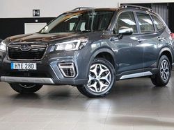 Grå Begagnad 2020 Subaru Forester SUV | 239 900 kr (Bra pris)