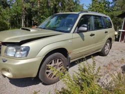 Grön Begagnad 2003 Subaru Forester SUV | 18 000 kr (Superpris)