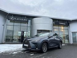 Grå Begagnad 2025 Lexus NX350h Business Edition SUV | 479 000 kr (Marknadspris)