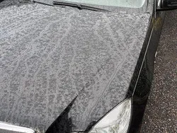 Svart Begagnad 2011 Mercedes E220 Avantgarde Kombi | 85 000 kr (Superpris)