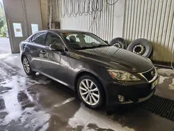 Brun Begagnad 2010 Lexus IS220d Luxury Line Sedan | 45 000 kr