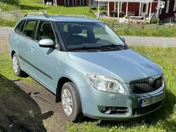 Grön Begagnad 2009 Skoda Fabia Ambiente Kombi | 17 000 kr