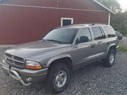 Grå Begagnad 2000 Dodge Durango SUV | 59 999 kr