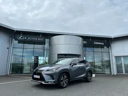Grå (grå metallic) Begagnad 2020 Lexus NX300h SUV | 349 000 kr (Marknadspris)