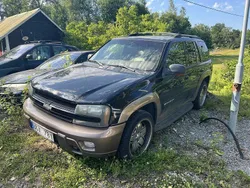 Begagnad 2002 Chevrolet TrailBlazer SUV | 8 000 kr