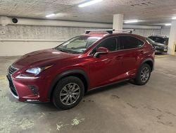 Röd Begagnad 2018 Lexus NX300h Business Edition SUV | 269 000 kr (Marknadspris)