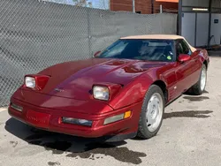 Mörkröd Begagnad 1991 Chevrolet Corvette C4 Cab | 139 900 kr
