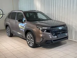 Brun Ny 2024 Subaru Forester SUV | 463 400 kr (Marknadspris)