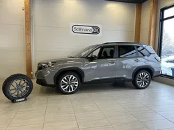 Grå Ny 2024 Subaru Forester SUV | 473 300 kr (Marknadspris)