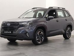 Grå Ny 2024 Subaru Forester SUV | 403 700 kr (Marknadspris)