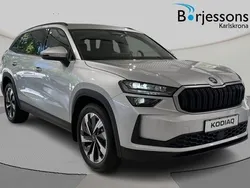 Silver Ny 2025 Skoda Kodiaq Business Line SUV | 447 000 kr