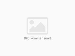 Mörkgrå Begagnad 2024 Toyota Yaris Cross SUV | 279 000 kr (Bra pris)