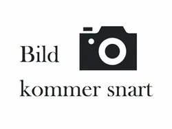 Ljusgrå Begagnad 2008 BMW 118 Advantage Halvkombi | 49 900 kr (Lite dyr)