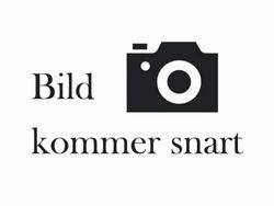 Silver Begagnad 2018 VW Passat GT Kombi | 199 800 kr (Dyr)