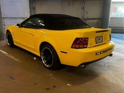 Gul Begagnad 2003 Ford Mustang Convertible Cab | 258 000 kr