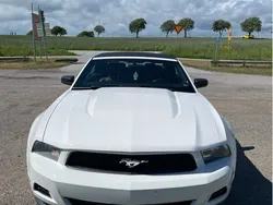 Vit Begagnad 2011 Ford Mustang Convertible Cab | 169 900 kr (Bra pris)