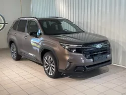 Brun (brilliant bronze metallic) Ny 2024 Subaru Forester SUV | 463 400 kr (Marknadspris)