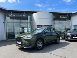 Grön Begagnad 2024 Lexus NX350h Business Edition SUV | 489 000 kr (Bra pris)
