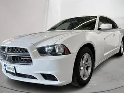Vit Begagnad 2014 Dodge Charger Sedan | 130 000 kr