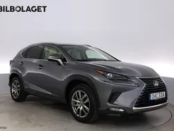 Grå Begagnad 2019 Lexus NX300h Executive Line SUV | 259 800 kr (Bra pris)